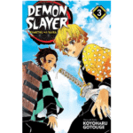 Demon Slayer: Kimetsu no Yaiba, vol. 03