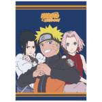Naruto Shippuden dekica