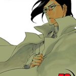 Bleach, Vol. 72 Manga