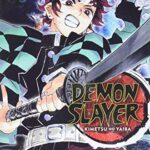 Demon Slayer: Kimetsu no Yaiba, Vol. 10 Manga