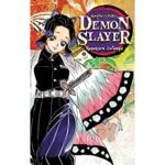 Demon Slayer: Kimetsu no Yaiba, Vol. 6 Manga