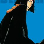 Bleach 3-IN-1, Vol. 13 Manga