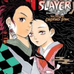 Demon Slayer. Kimetsu no Yaiba Bojanka