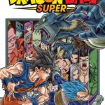 Dragon Ball Super, Vol. 13 Manga