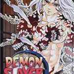 Demon Slayer: Kimetsu no Yaiba, Vol. 22 Manga