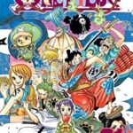 One Piece, Vol. 91 Manga