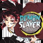 Demon Slayer: Kimetsu no Yaiba, Vol. 20 Manga