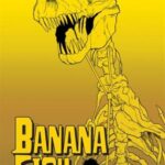 Banana Fish, Vol. 15 Manga