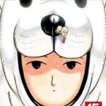 One-Punch Man Vol. 15 Manga