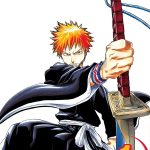 Bleach vol 1