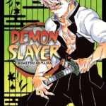 Demon Slayer: Kimetsu no Yaiba, Vol. 17 Manga