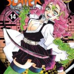 Demon Slayer: Kimetsu no Yaiba, Vol. 14 Manga