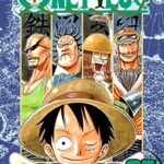One piece vol 27 Manga