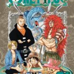 One piece vol 31 Manga
