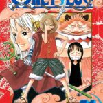 One piece vol 41 Manga