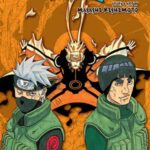 Naruto 3-in-1 ed. Vol.21