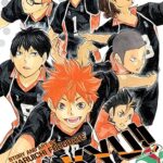 Haikyu Vol. 12