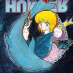 Hunter x Hunter, Vol. 33