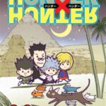 Hunter x Hunter, Vol. 20