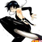 Bleach, Vol. 18