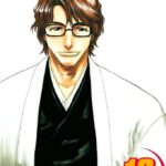 Bleach, Vol. 12
