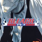 Bleach, Vol. 13