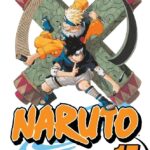 Naruto Vol. 17