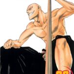 Bleach, Vol. 23