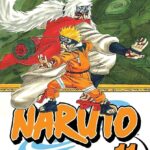 Naruto Vol. 11
