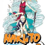 Naruto Vol. 6