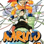 Naruto Vol. 12
