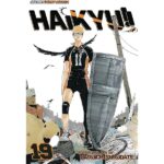 Haikyu Vol. 19