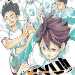 Haikyu Vol. 17