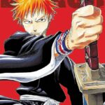 Bleach 3-IN-1 Vol. 1