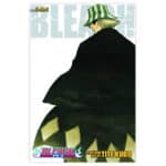 Bleach 3-IN-1 Vol. 2