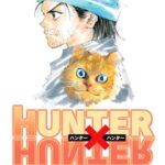 Hunter x Hunter, Vol. 32