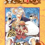One Piece, Vol. 8
