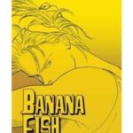 Banana Fish, Vol. 9