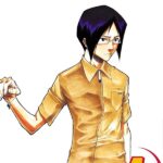 Bleach, Vol. 4