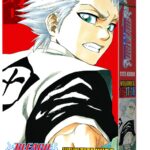 Bleach 3-IN-1 Vol. 6