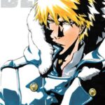 Bleach 3-IN-1 Vol. 17