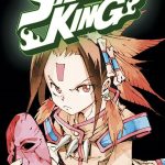 Shaman King Omnibus 1 (Vol. 1-3)