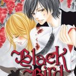 Black Bird, Vol. 1 Manga