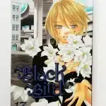 Black Bird, Vol. 13 Manga