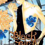 Black Bird, Vol. 9 Manga