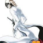 Bleach vol 22 Manga