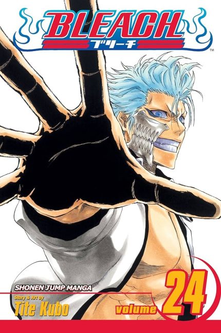 Bleach vol 24 Manga