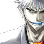 Bleach vol 25 Manga