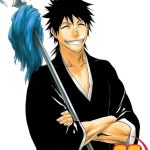 Bleach vol 30 Manga