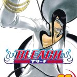 Bleach vol 33 Manga